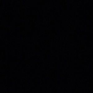 Meet your Posher, Fred